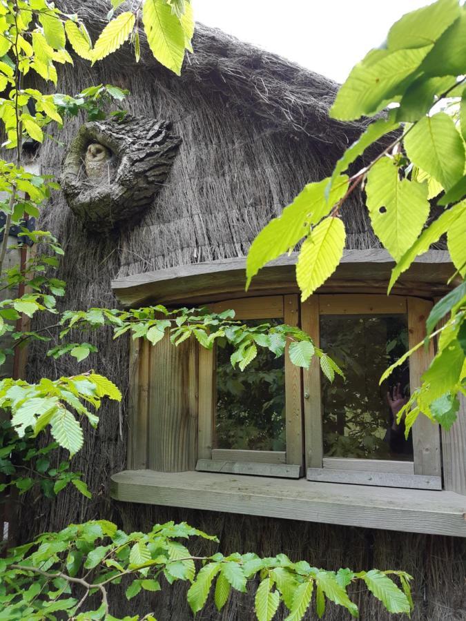 Cabane D'Augustin Saint-Augustin  外观 照片